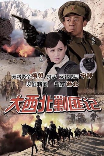 Poster of 大西北剿匪记