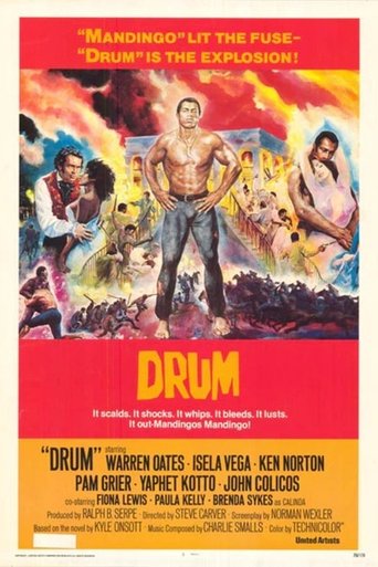 Poster of Drum
