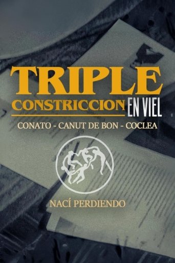 Poster of TRIPLE CONSTRICTION IN VIEL