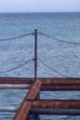 Poster of Gestrandet