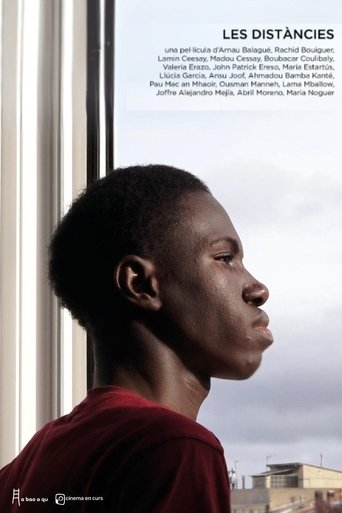 Poster of The distances