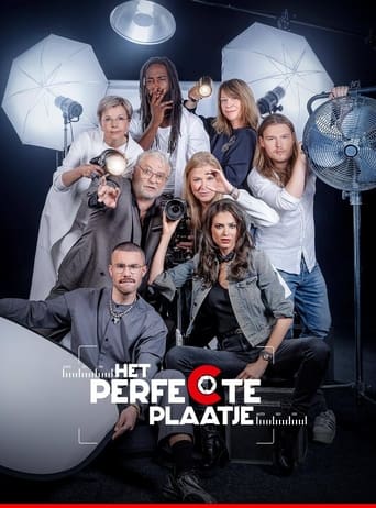 Poster of Het Perfecte Plaatje