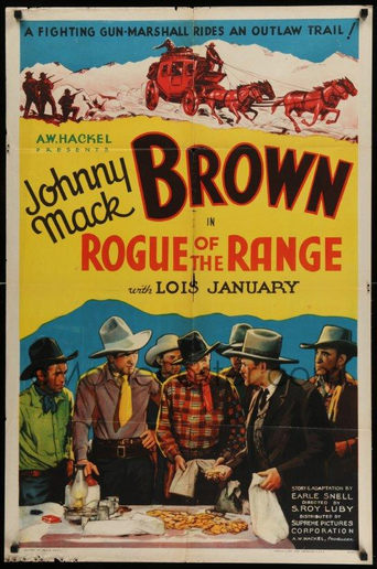 Poster of Rogue of the Range