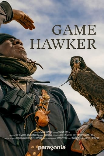 Poster of Game Hawker