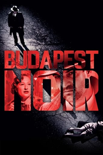 Poster of Budapest Noir