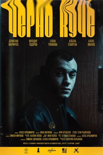 Poster of Black Dog