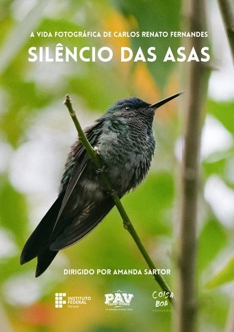 Poster of Silêncio das Asas