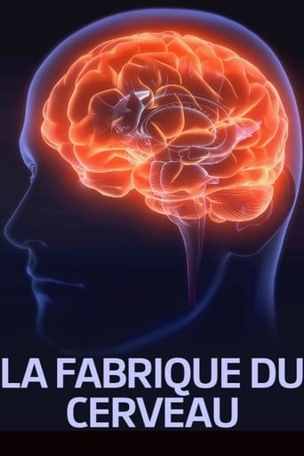 Poster of La fabrique du cerveau