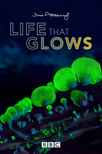 Poster of Attenborough's Life That Glows