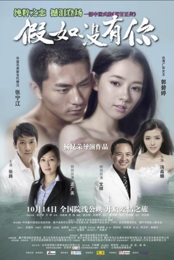 Poster of 假如没有你