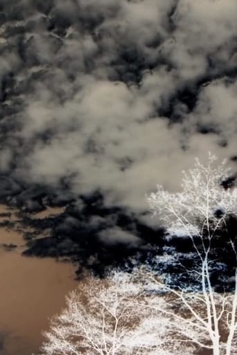 Poster of Clouds and Trees