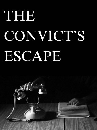 Poster of The Convict's Escape