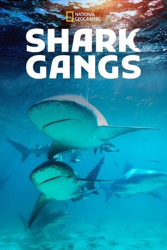 Poster of Shark Gangs