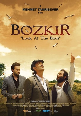 Poster of Bozkir "Look at the Birds"