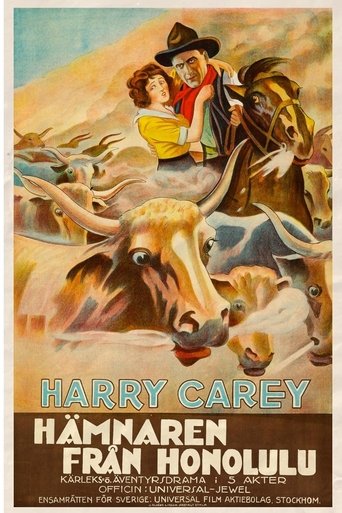 Poster of The Outlaw and the Lady