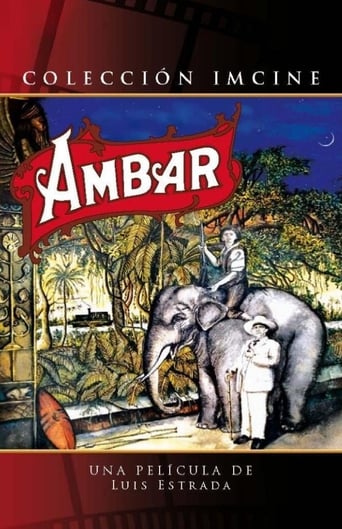 Poster of Amber