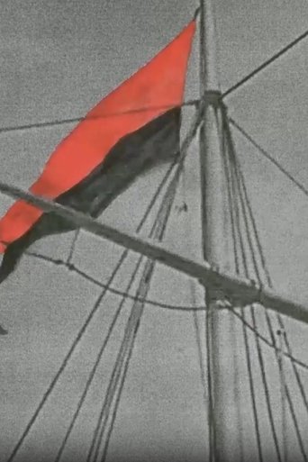 Poster of Flags of Propaganda