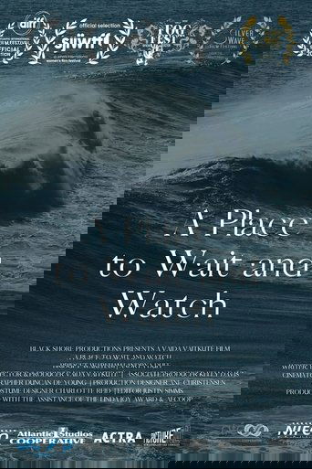 Poster of A Place to Wait and Watch