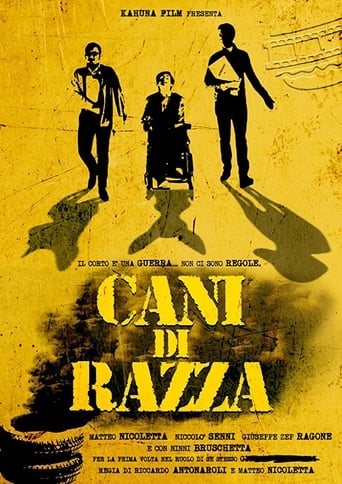 Poster of Cani di razza