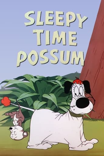 Poster of Sleepy Time Possum