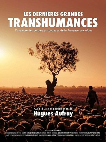 Poster of Les dernières grandes transhumances