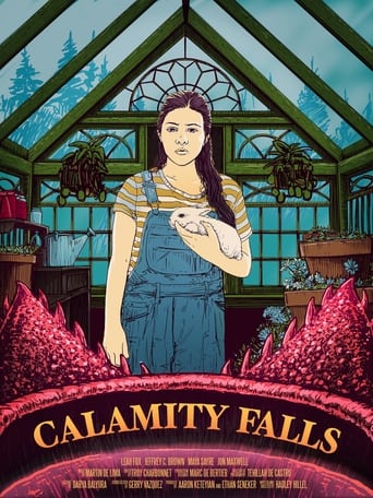 Poster of Calamity Falls