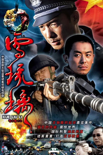 Poster of 雪琉璃