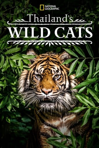 Poster of Thailand's Wild Cats