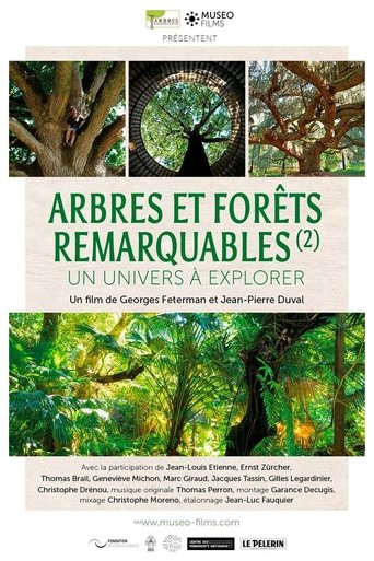 Poster of Arbres et forêts Remarquables, un univers à explorer
