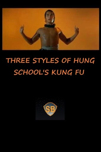 Poster of Three Styles of Hung School's Kung Fu