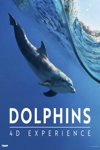 Poster of Dolphins 4-D Experience