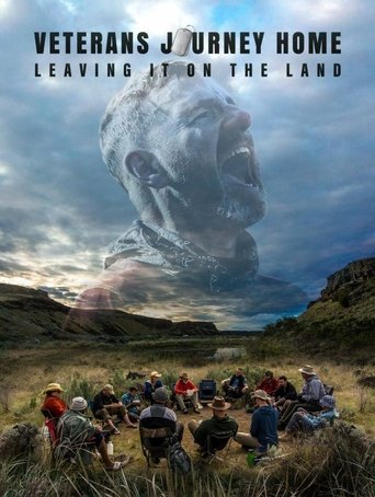 Poster of Veterans Journey Home