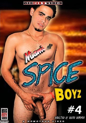 Poster of Miami Spice Boyz 4