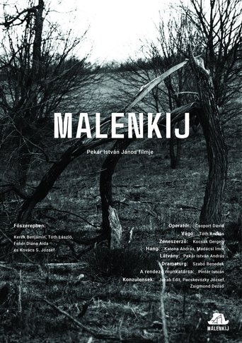 Poster of Malenkij