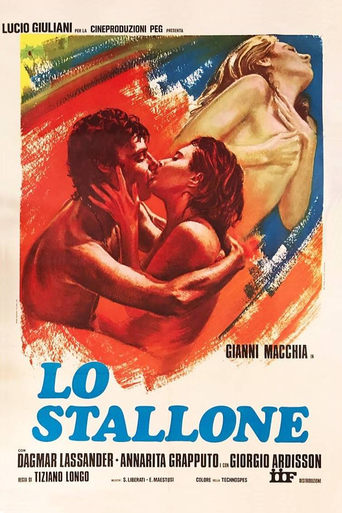 Poster of Lo stallone