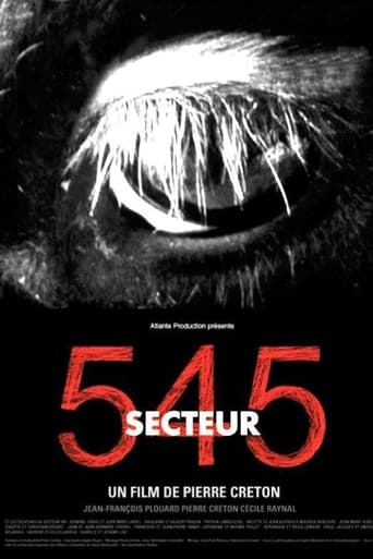 Poster of Secteur 545