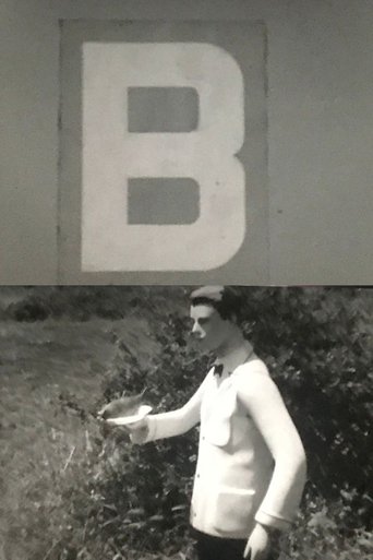 Poster of B