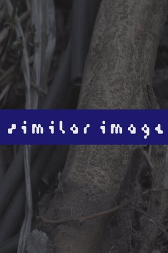 Similar Image Poster of Similar Image