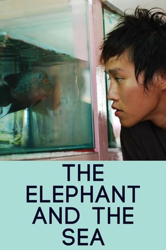 Poster of The Elephant and the Sea