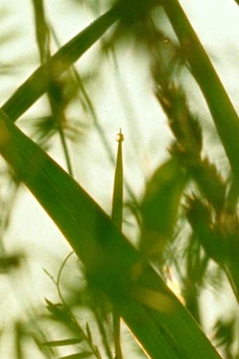 Poster of A World of Dew