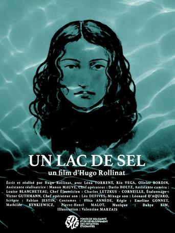 Poster of Un lac de sel