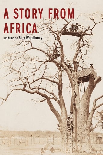 Poster of A Story from Africa