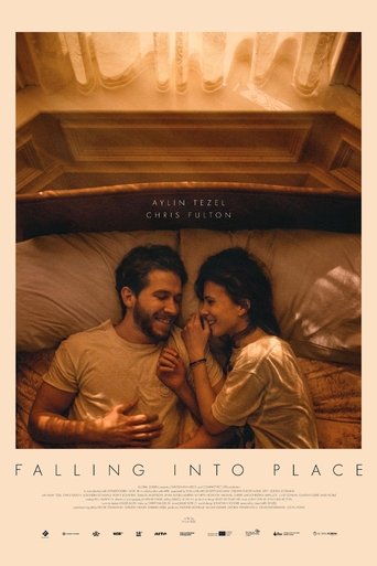 Poster of Falling into Place