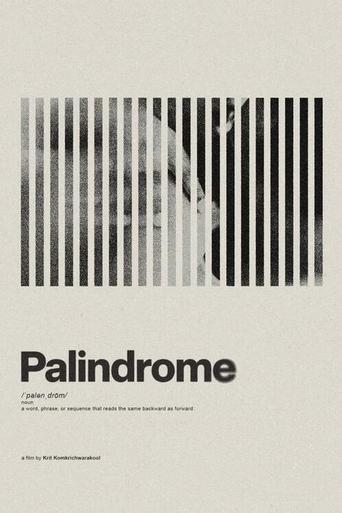 Poster of Palindrome