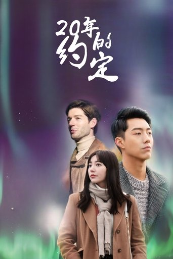 Poster of 20年的約定