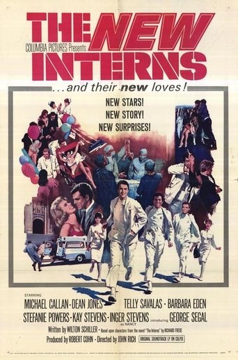 The New Interns Poster of The New Interns