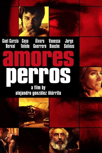 Poster of Amores Perros