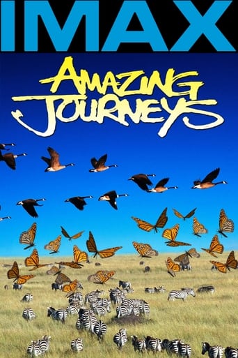 Poster of Amazing Journeys