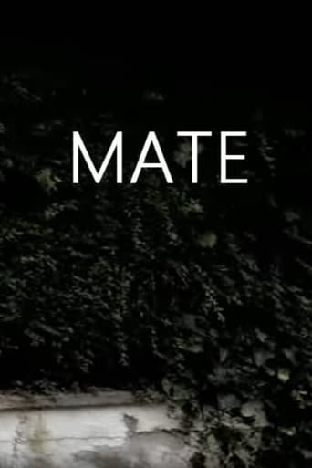 Poster of Mate