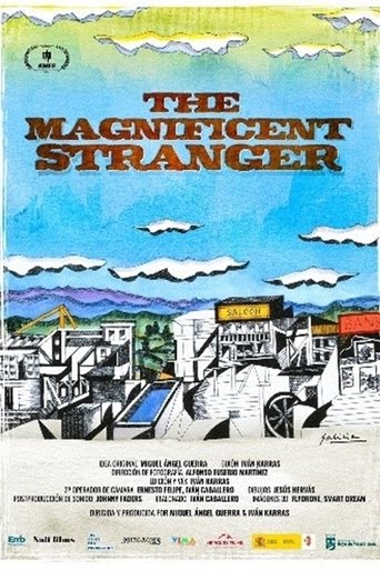 Poster of The Magnificent Stranger